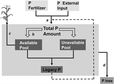 Development of a Novel Model of Soil Legacy P Assessment for Calcareous and Acidic Soils